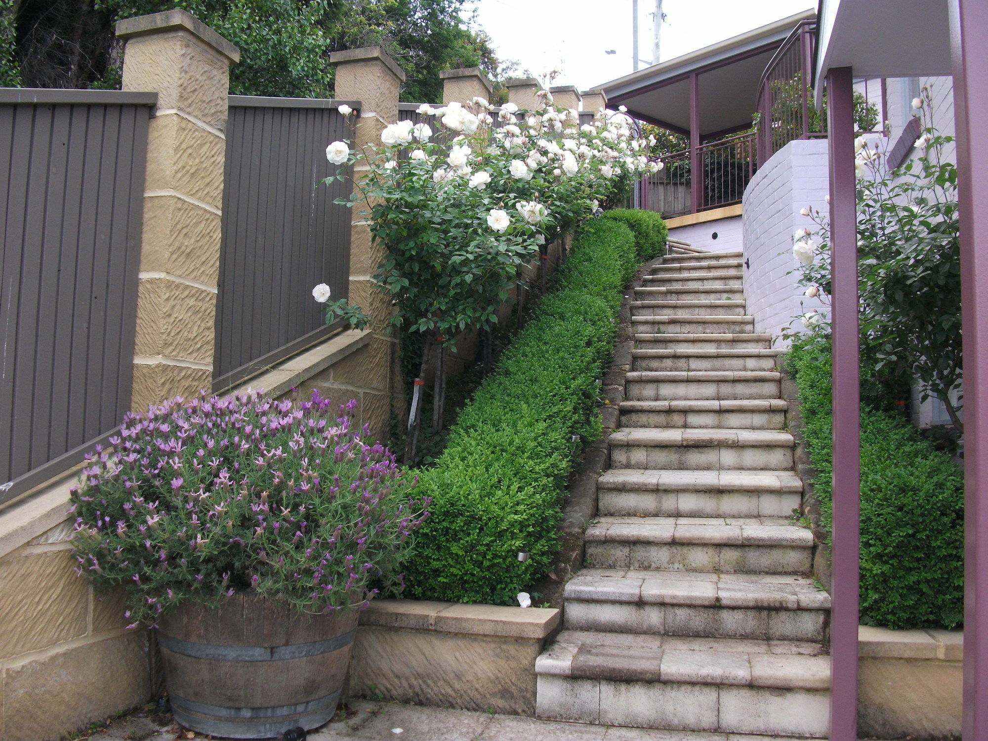 Apartments On Star Sandy Bay Εξωτερικό φωτογραφία